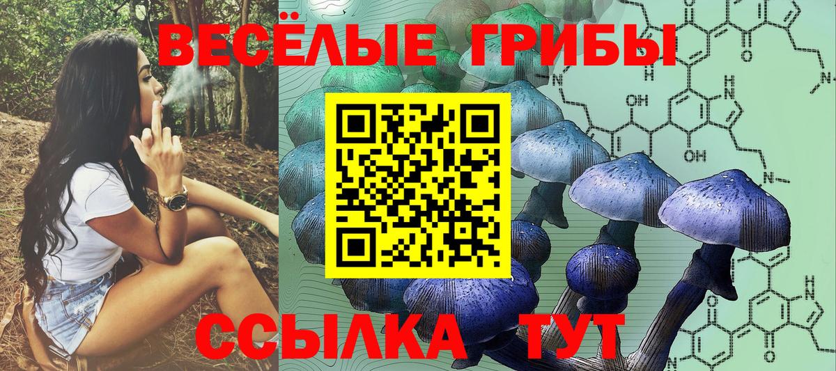 Галлюциногенные грибы Magic Shrooms  Вход с VPN  закладки  Усинск  Галлюциногенные грибы ЛСД 